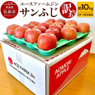 りんご【訳あり】青森のジューシーサンふじ約10kg(24玉～46玉程度)|24_ace-051001