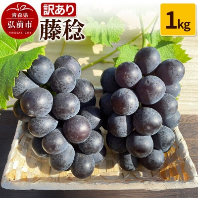 【訳あり】 藤稔 1kg ぶどう フルーツ 果物|24_tvf-050101