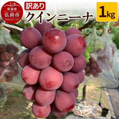【訳あり】 クインニーナ 1kg ぶどう フルーツ 果物|24_tvf-070101