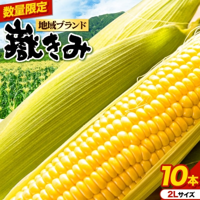 とうもろこし 青森県弘前市産 嶽きみ(だけきみ)2Lサイズ 10本|24_bny-061001