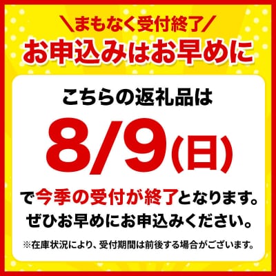 とうもろこし 青森県弘前市産 嶽きみ(だけきみ)2Lサイズ 10本|24_bny-061001