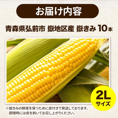 とうもろこし 青森県弘前市産 嶽きみ(だけきみ)2Lサイズ 10本|24_bny-061001