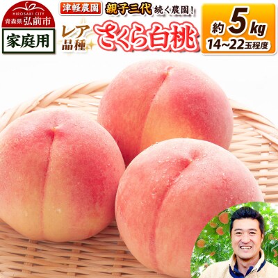 桃 約5kg【2026年産 レア品種 さくら白桃】家庭用|24_tgn-030501