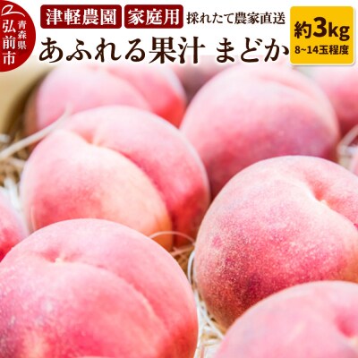 もも【2026年産 あふれる果汁 まどか】家庭用 約3kg|24_tgn-050301
