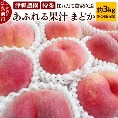 もも【2026年産 あふれる果汁 まどか】特秀 約3kg|24_tgn-060301