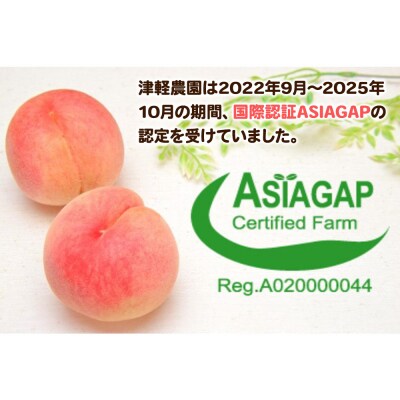 もも【2026年産 あふれる果汁 まどか】特秀 約3kg|24_tgn-060301