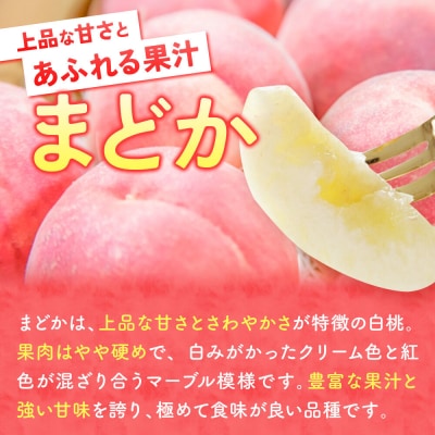 桃 約3kg【2026年産 あふれる果汁 まどか】特秀|24_tgn-060301