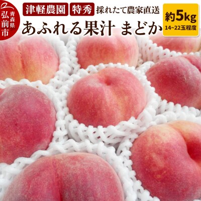 もも【2026年産 あふれる果汁 まどか】特秀 約5kg|24_tgn-060501