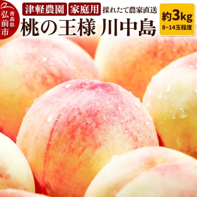 桃【2026年産 桃の王様 川中島】家庭用 約3kg|24_tgn-070301