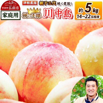 桃 約5kg【2026年産 桃の王様 川中島】家庭用|24_tgn-070501