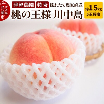 もも【2026年産 桃の王様 川中島】特秀 約1.5kg|24_tgn-080101