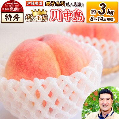 桃 約3kg【2026年産 桃の王様 川中島】特秀|24_tgn-080301