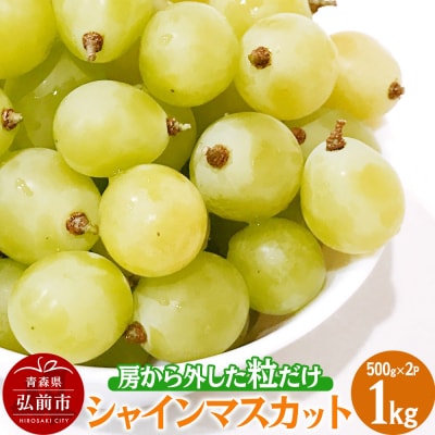 y󂠂z [OVC}XJbg1kg Ԃǂ|24_tvf-030101
