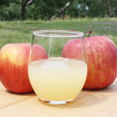 りんごジュース ストレート果汁【林檎園】1000ml×3本 紙パック|24_cam-010301