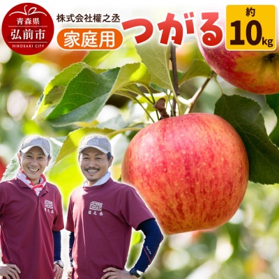 りんご 權之丞farm つがる 家庭用 約10kg(24～40玉程度)|24_gnz-071001