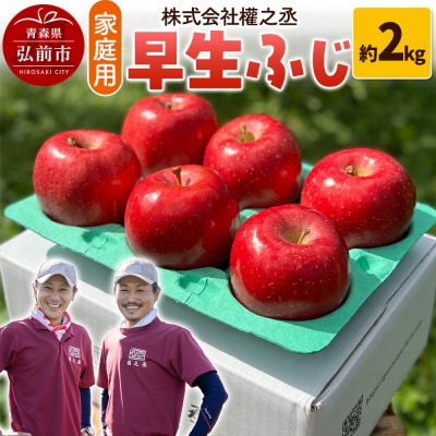 りんご 早生ふじ【家庭用】約2kg 權之丞farm|24_gnz-090201