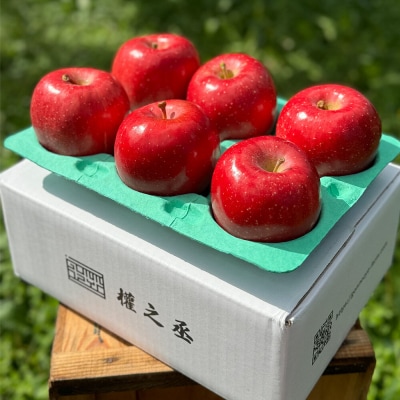 りんご 早生ふじ【家庭用】約2kg 權之丞farm|24_gnz-090201