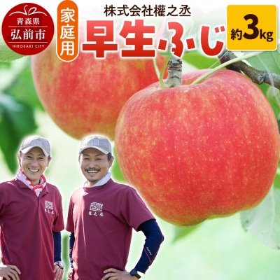 りんご 權之丞farm 早生ふじ 家庭用 約3kg(6～10玉程度)|24_gnz-090301