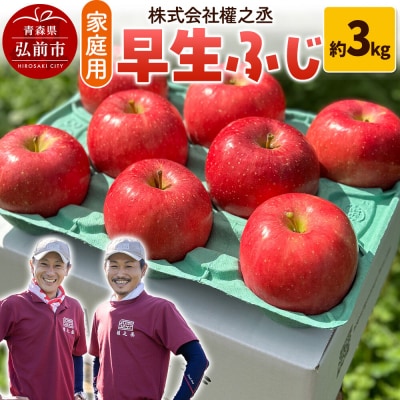 りんご 早生ふじ【家庭用】約3kg 權之丞farm|24_gnz-090301