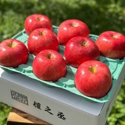 りんご 早生ふじ【家庭用】約3kg 權之丞farm|24_gnz-090301