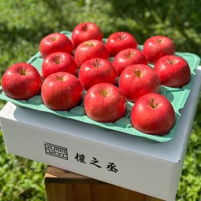 りんご 早生ふじ【家庭用】約5kg 權之丞farm|24_gnz-090501