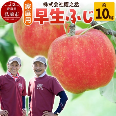 りんご 權之丞farm 早生ふじ 家庭用 約10kg(24～40玉程度)|24_gnz-091001