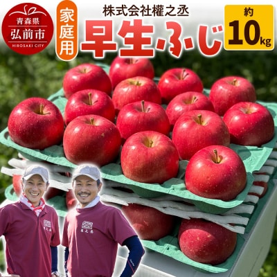 りんご 早生ふじ【家庭用】約10kg 權之丞farm|24_gnz-091001