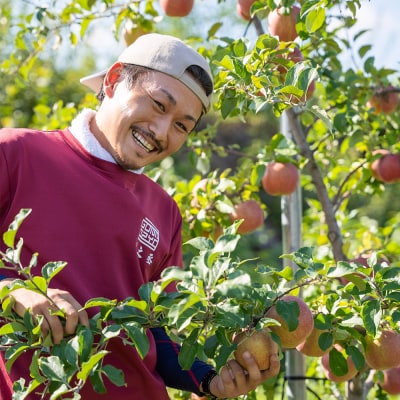 りんご 權之丞farm 早生ふじ 家庭用 約10kg(24～40玉程度)|24_gnz-091001