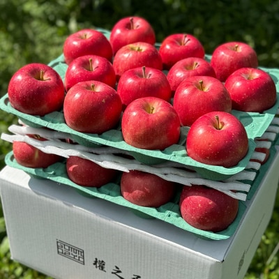 りんご 早生ふじ【家庭用】約10kg 權之丞farm|24_gnz-091001