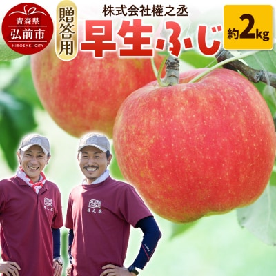 りんご 權之丞farm 早生ふじ 贈答用 約2kg(5～10玉程度)|24_gnz-100201