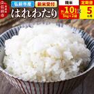 ＜令和7年産 新米受付＞《定期便5ヶ月》はれわたり【精米】5kg×2袋|24_wda-021005
