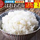 ＜令和7年産 新米受付＞《定期便2ヶ月》はれわたり【精米】10kg×1袋|24_wda-031002