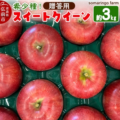 【25年10月発送】りんご 希少!スイートクイーン 約3kg【贈答用】|24_srf-060301