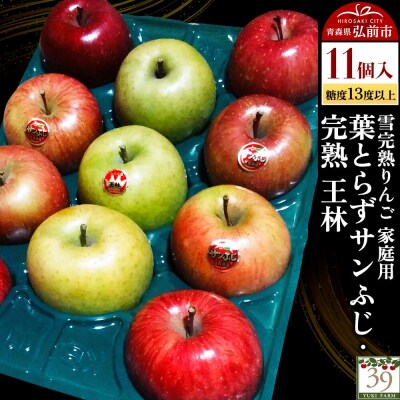 りんご 葉とらずサンふじ・ 完熟 王林【家庭用】11個 先行受付|24_yuk-051101