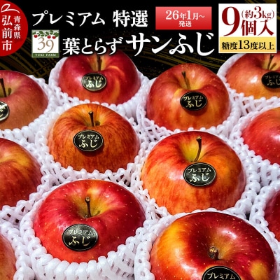 りんご糖度13度以上 特選プレミアム 葉とらずサンふじ 約3kg|24_yuk-090301b