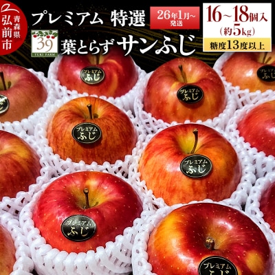 りんご糖度13度以上 プレミアム 葉とらずサンふじ 約5kg|24_yuk-090501b