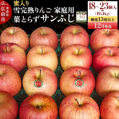 りんご 葉とらずサンふじ【家庭用】約5kg(18～23個程度)蜜入り|24_yuk-130501a