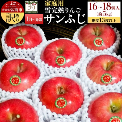 りんご サンふじ【訳あり】約5kg(16～18個)家庭用 先行受付|24_yuk-170501b