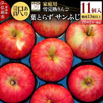訳あり 雪完熟 家庭用 糖度13度以上 葉取らず サンふじ 11個|24_yuk-231101b