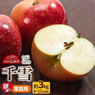 【25年10月～発送】りんご【訳あり】千雪 約3kg 家庭用|24_tkf-110301