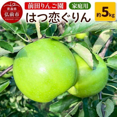 【25年10月～発送】りんご 【家庭用】 はつ恋ぐりん 約 5kg|24_mre-120501