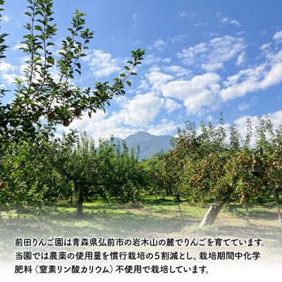 【25年10月～発送】りんご 【家庭用】 はつ恋ぐりん 約 5kg|24_mre-120501