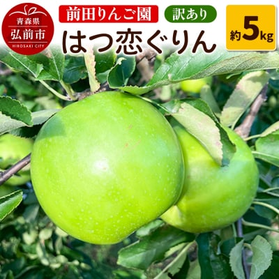 【25年10月～発送】りんご 【訳あり】 はつ恋ぐりん 約 5kg|24_mre-130501