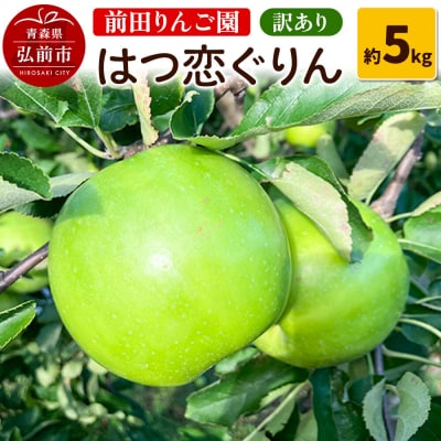 【26年10月～発送】りんご 【訳あり】 はつ恋ぐりん 約 5kg|24_mre-130501