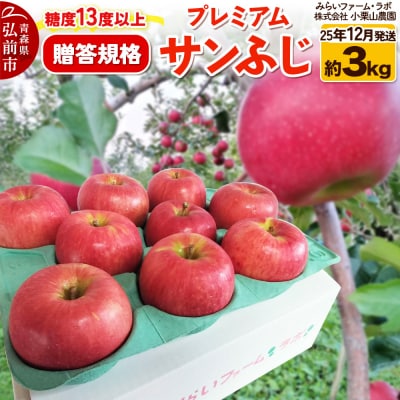 25年12月発送りんご糖度13度以上 贈答規格プレミアムサンふじ約3kg|24_mlk-100301