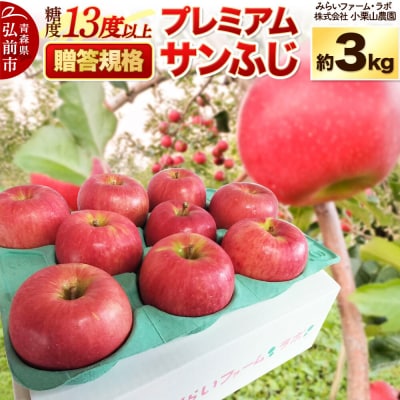 【26年12月発送】りんご 贈答規格プレミアムサンふじ約3kg|24_mlk-100301