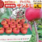 25年12月発送りんご糖度13度以上 贈答規格プレミアムサンふじ約5kg|24_mlk-100501