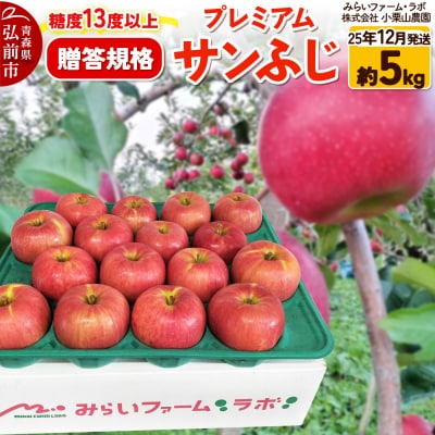 25年12月発送りんご糖度13度以上 贈答規格プレミアムサンふじ約5kg|24_mlk-100501
