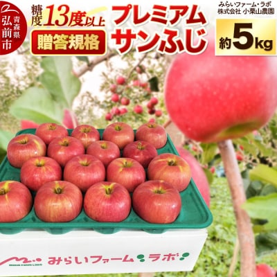 【26年12月発送】りんご 贈答規格プレミアムサンふじ約5kg|24_mlk-100501