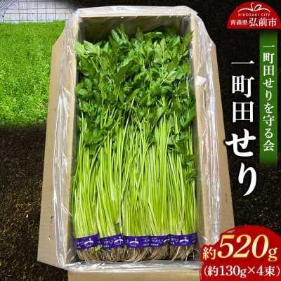 【26年11月～発送】野菜 一町田せり 約520g せり 七草 先行受付|24_ism-010401